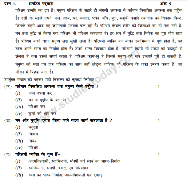 CBSE Class 9 Hindi B Sample Paper Set 17